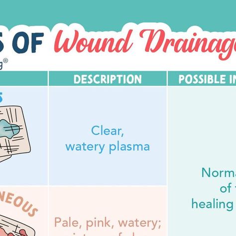 Kristine Tuttle on Instagram: "Types of wound drainage Wound drainage will look different in every patient depending on their case. These are all types of fluid which leak out or ooze from infected areas, recent incisions, cuts, lacerations, or non-healing wounds. This really confused me in my first semester of nursing school. I had never heard the word “serosanguineous”....And I never asked what it meant for fear of sounding silly, but that’s why it’s great to know those basics, so you won’t Healing Wounds, Med Surg, Nursing School, Nursing, Healing, Health, Instagram