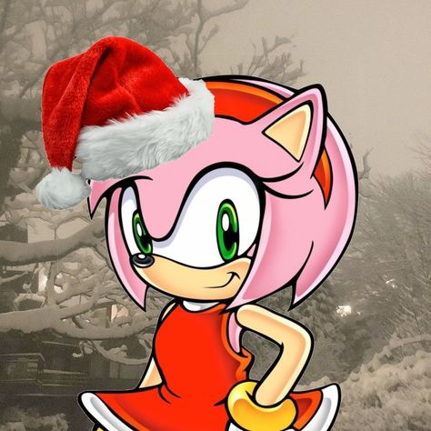 Amy Rose Christmas, Sonamy Comic, Sonic Adventure 2, Rosé Christmas, Amy The Hedgehog, Anime Christmas, Sonic Adventure, Rose Icon, Amy Rose