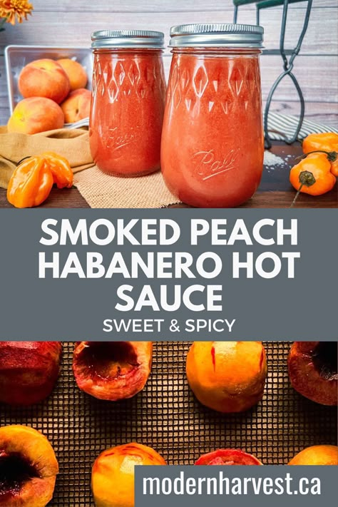 Peach Habanero Hot Sauce Recipe, Peach Habanero Hot Sauce, Fresh Pepper Hot Sauce Recipe, Peach Habanero Sauce, Smoked Habanero Peppers, Peach Habenero Recipes, Making Hot Sauce From Fresh Peppers, Mango Hot Sauce Recipe, What To Do With Habenaros