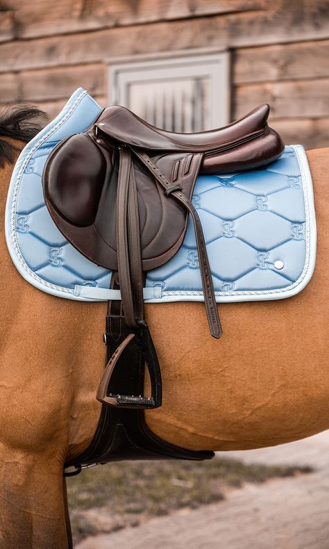 Saddles English, English Saddle Pads, Horse Tack Rooms, Horse Riding Aesthetic, Equestrian Outfit, Saddle Pads English, Horse Riding Outfit, Horse Saddle Pads, Equestrian Aesthetic