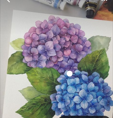 Purple Hydrangea Drawing, Hydrangeas Art, Watercolor Hydrangea, Hydrangea Painting, Drawing Flowers, Watercolor Subjects, Flowers Illustration, Flower Art Drawing, Illustration Art Drawing