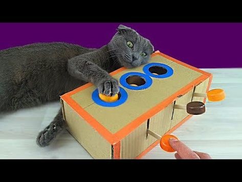 16 DIY Cardboard Cat Toys You Can Make at Home (With Pictures) - Catster Diy Cat Toys Kittens, Cardboard Cat Toys, Diy Jouet Pour Chat, Cat Diy Crafts, Princess Paris, Chat Diy, Cardboard Cat House, Cardboard Diy, Homemade Cat Toys