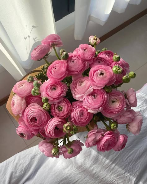 Yonkers New York, Ranunculus Flowers, Boquette Flowers, Flowers Bouquet Gift, Nothing But Flowers, Flower Therapy, Beautiful Bouquet Of Flowers, Luxury Flowers, Hudson River