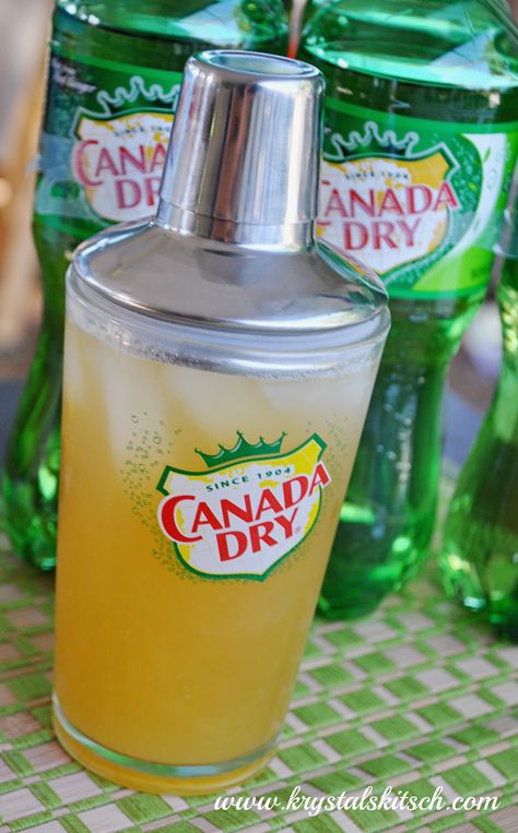 Make a Pineapple Cocktail With Canada Dry Canada Dry Cocktails, Alcohol Drink With Pineapple Juice, Vodka Cocktails With Pineapple Juice, Drink In Pineapple Shell, Malibu Cocktails, Acholic Beverages Pineapple, Alcohol Beverages, Pineapple Cocktail, Baby Moses