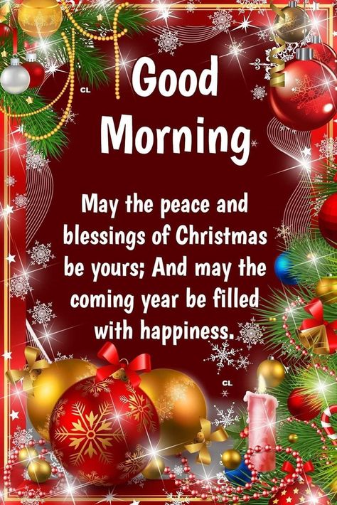 Meditation Facts, Christmas Morning Quotes, Happiness Pictures, Merry Xmas Greetings, Holiday Blessings, Christmas Greetings Quotes, Good Morning Christmas, Christmas Verses, Peace And Blessings