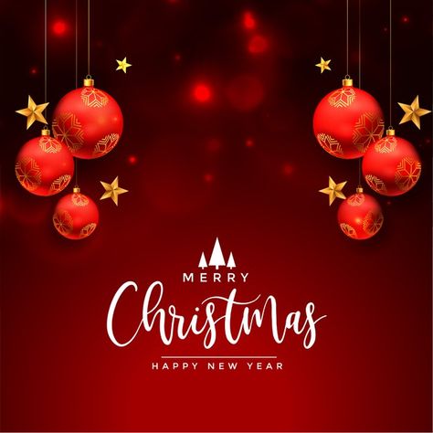 Christmas greeting wishes card with real... | Free Vector #Freepik #freevector #christmas #winter #abstract #celebration Christmas Greeting Design, Christmas Greeting Cards Design, Season Greetings Card Design, Winter Promotion, Christmas Images Hd, Winter Abstract, Xmas Pics, Festival Wishes, Merry Christmas Background