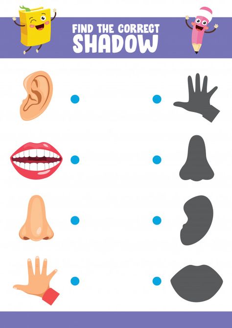 Vector illustration of finding correct s... | Premium Vector #Freepik #vector #school #book #kids #children Body Parts Preschool Activities, Writing Activities For Preschoolers, Body Preschool, Body Parts Preschool, Kids Worksheets Preschool, Free Preschool Worksheets, Kindergarten Learning, Preschool Printables, Preschool Activity