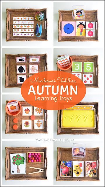 Montessori Autumn Toddler Learning Tray Ideas Montessori Trays Preschool, Autumn Play Ideas, Fall Toddler Montessori Activities, Mini Pumpkin Activities Preschool, Montessori Fall Activities Preschool, Harvest Montessori Activities, Montessori Ideas For Toddlers, Montessori Tray Activities, Montessori November Ideas