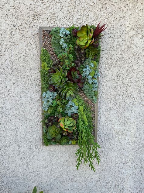 12 Inches Wide.  24 Inches Tall.  3 Inches Deep. This Carefree faux wall garden will brighten up any space.  Carefully made with Real Touch Succulents, and they DO look real!!   Delicately made to create a captivating garden. An interesting addition to any office, bathroom, family room or entryway. Also safe for a covered outside space.  NO Watering necessary!! Just hang and enjoy! Ready to hang. Please read store policies before ordering, thank you. Faux Succulent Wall, Garden Orbs, Succulent Wall Hanging, Succulent Wall Garden, Bathroom Family, Faux Wall, Succulent Wall Planter, Garden Vertical, Succulent Decor