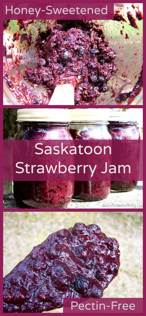 Strawberry Jam With Honey, Saskatoon Jam, Saskatoon Recipes, Saskatoon Berry Recipe, June Berry, Canned Recipes, Berry Jam Recipe, Low Sugar Jam, Saskatoon Berry