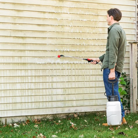 How to Remove Mildew From Siding - This Old House Clean Hacks, Homemade Toilet Cleaner, Clean Baking Pans, Hardwood Floor Cleaner, Cleaning Painted Walls, Glass Cooktop, Deep Cleaning Tips, Toilet Cleaner, Clean Dishwasher