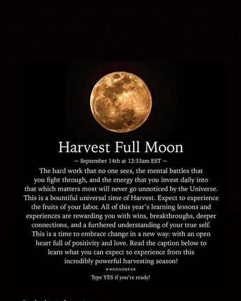 Harvest Full Moon Harvest Full Moon 2023, Harvest Moon Intentions, Harvest Full Moon, Full Moon Meaning, Full Harvest Moon, Cunning Folk, Full Moon Energy, Happy Full Moon, Full Moon Photos