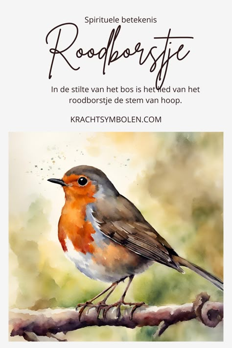 De spirituele betekenis van een roodborstje heeft te maken met hoop en geluk. Volg de link als je meer wilt weten over #krachtdier roodborstje Robins, String Art, Lucca, Decoupage, Birds, Stone, Animals, Art