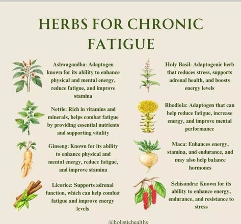 Herbal Education, Medical Herbs, For Educational Purposes Only, Herbal Recipes, Natural Healing Remedies, Herbal Healing, Energy Boosters, Herbal Magic, Holistic Remedies