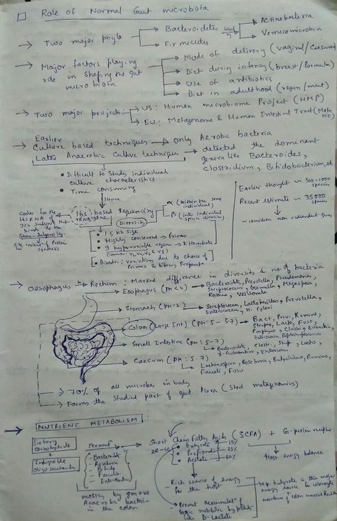 Messy Notes Aesthetic, Messy Notes, Messy Handwriting, Study Core, Colleges For Psychology, I Need Motivation, Basic Anatomy And Physiology, College Motivation, Gut Microbiota