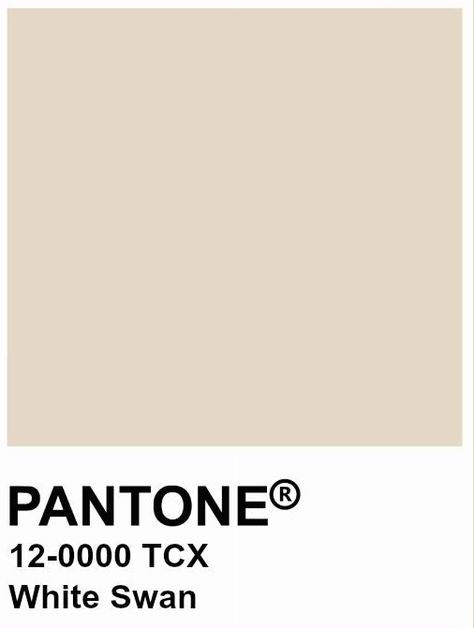 Pantone White, White Swan, Butter Cream, Mood Board, Color Palette, Butter, Home Decor Decals, White, Color