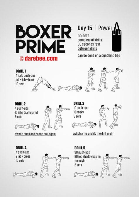 Boxer Prime: 30-Day Fitness Program Boxer Prime, Boxing Rules, Shadow Boxing Workout, Punching Bag Workout, Boxer Workout, Boxing Workout Routine, Boxing Workout Beginner, Boxing Workouts, Home Boxing Workout