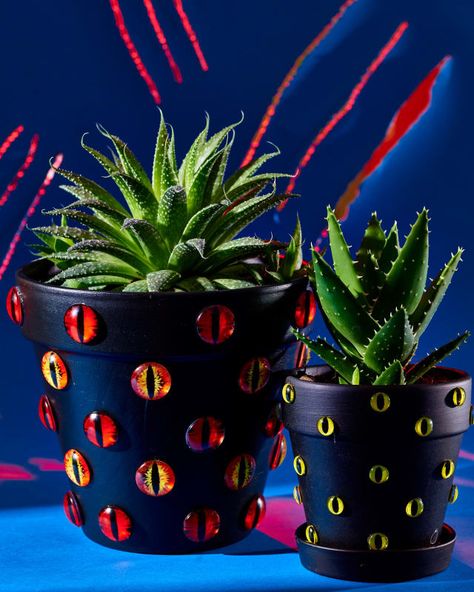 Witchy Flower Pots, How To Decorate With Plants, Spooky Plants, Garden Diy Decoration Ideas, Diy Flower Pot, Painted Pots Diy, Flower Pot Design, Plant Pot Decoration, Diy Halloween Decor