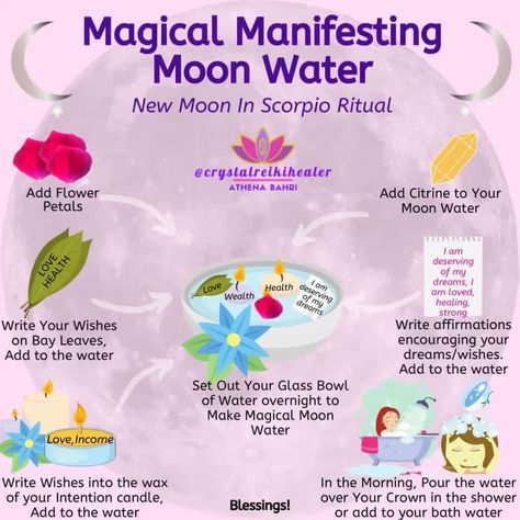 Moon In Aquarius, Moon In Leo, Moon Lover, Moon Water, Love Moon, Intention Candles, Scorpio Moon, Herbal Magic, Baby Witch