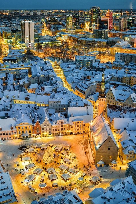 Christmas Destinations, Christmas In Europe, York Minster, Tivoli Gardens, Christmas Markets Europe, Best Christmas Markets, Old Town Square, Tallinn Estonia, Cities In Europe