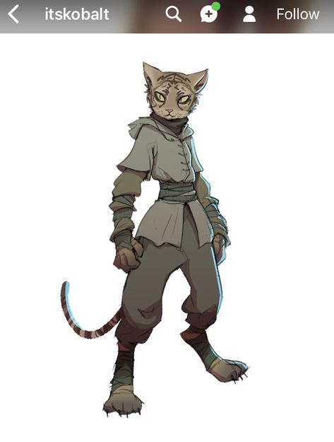 Dnd Races, Cool Characters, Dnd Ideas, Cat Character, Dungeons And Dragons Characters, Dnd Art, Dnd Stuff, Mythical Creatures Art, Character Design Animation