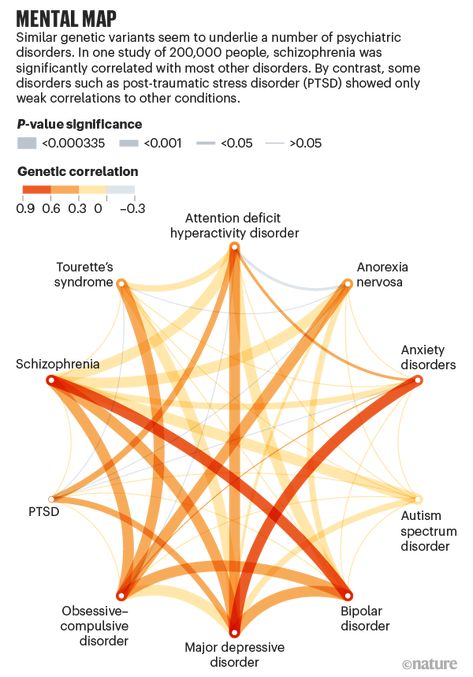 Psychiatrists have a dizzying array of diagnoses and not enough treatments. Hunting for the hidden biology underlying mental disorders could help. Thought Disorder, Mental Map, Mental Disorder, Human Personality, Intrinsic Motivation, Mental Health Therapy, Mental Disorders, Brain Activities, Neuroscience