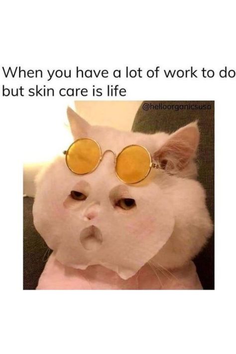 Daily Skin care meme! 🧼 #thesomersettoiletrycompany skincarememe #catmeme Skin Quotes, Beauty Skin Quotes, Skincare Quotes, Content Ideas, Esthetician, Mood Pics, Quotes Funny, Beauty Skin, Skin Care Routine