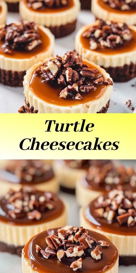 #Mini Turtle Cheesecakes with Caramel Pecan Swirl - Enjoy these delightful mini cheesecakes with a blend of caramel, pecans, and chocolate ganache. A perfect treat for any occasion. Mini Cheesecakes Caramel, Chocolate Caramel Cheesecake Bites, Turtle Cheesecake Cupcakes, Mini Turtle Cheesecake Recipe, Mini Turtle Cheesecakes, Turtle Cheesecake Recipe Easy, Easy Turtle Cheesecake, Mini Turtle Cheesecake, Mini Pecan Cheesecakes