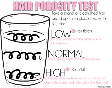 Have You Taken The Test? Knowing Your Hair Porosity Is Key To A Successful Hair Journey - HairliciousInc.com Hair Porosity Test, Low Porosity Hair Care, Low Porosity Hair Products, Natural Hair Care Tips, Hair Regimen, Hair Porosity, Black Hair Care, Natural Hair Tips, Hair Growth Tips