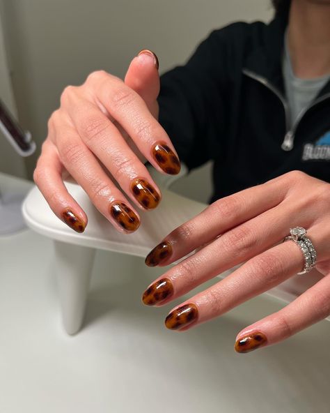 may tortoise nails exist til the end of time used @kokoistusa baby cakes base for structure, bourbon brown as the tortoise base color, @daily_charme old fashioned tinted glass #structuredmanicure #gelnails #biabnails #biab #fallnails #autumnnails #tortoisenails #tortoiseshellnails #nailartist #octobernails #manicure Tortoise Gel Nails, Tortishell Nails Design, Tortoise Nail, Tortoise Nails, Tortoise Shell Nails, Shell Nails, October Nails, End Of Time, Tinted Glass