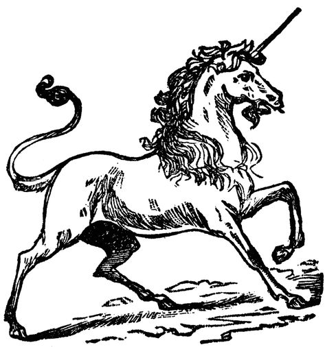 a Unicorn is a mythological creature that has cloven hooves (much like a stag's), a lion's tail, and the body of a horse. It also has one spiraling horn in the middle of its forehead. Forest Dweller, Medieval Horse, Unicorn Tapestry, Unicorn Tattoos, Unicorn Drawing, Unicorn Illustration, The Last Unicorn, Horse Tattoo, 1 Tattoo