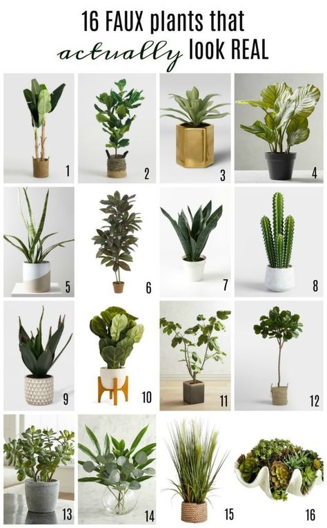 16 faux plants that actually look real Fake Bathroom Plants, Faux Plants Decor Living Room, Faux Potted Plants Indoor, Farmhouse Faux Plants, Artificial Plants Amazon, Kitchen Artificial Plants Decor, Coastal Fake Plants, Artificial Plants Bedroom Decor, Coastal Faux Plants