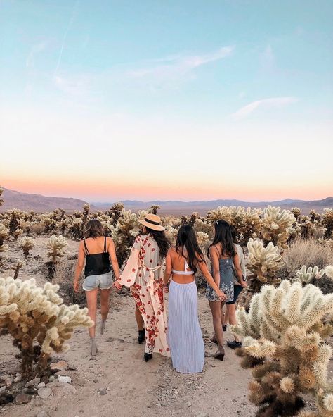 Dreamy Vacation Destinations to Visit in 2019 | The Everygirl Palm Springs Outfit, Travel Guide Design, Palm Springs Bachelorette, Palm Spring, Desert Vibes, Palm Springs California, Palm Desert, Joshua Tree National Park, Instagram Worthy