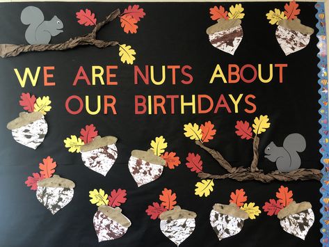 This is a super cute fall birthday board filled with acorns, leaves and squirrels. Fall Theme Birthday Bulletin Board, Woodland Birthday Bulletin Board, Woodland Birthday Board Classroom, Fall Birthday Bulletin Boards Preschool, September Birthday Boards Preschool, November Birthday Board Classroom, Birthday Board Themes, Fall Birthday Wall For Classroom, November Birthday Bulletin Boards