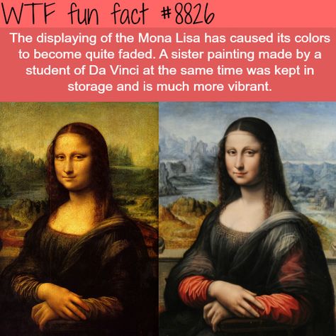 Crazy Artwork, Useless Facts, What The Fact, The Mona Lisa, Strange Facts, Famous Paintings, Unbelievable Facts, Random Facts, Science Facts