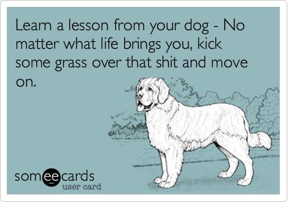 Learn a lesson from your dog - No matter what life brings you, kick some grass over that shit and move on. E Cards, E Mc2, E Card, Ecards Funny, Someecards, Move On, A Sign, What Is Life About, Bones Funny