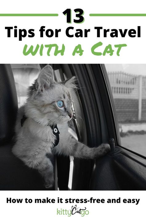 Will you be taking a road trip with your cat? The thought of traveling long distance in a car with your cat may be overwhelming, but there are several ways to make the experience stress-free and even fun! Click here to check our best tips for traveling with your cat! Cat Road Trip, Travel Cat, Vanlife Cat, Traveling With A Cat Road Trips, Road Trip With Cat, Traveling With A Cat, How To Travel With A Cat In A Car, Cat Travel Tips, Traveling With Cats In Car Road Trips