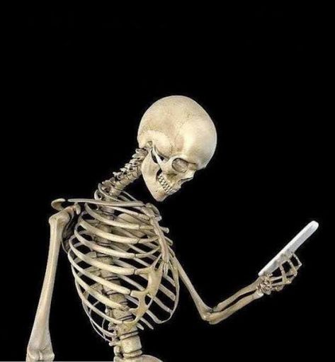 Skeleton Waiting, Skeleton Memes, Skeleton Poses, Skeleton Meme, Skeleton Pics, Memes Download, Human Skeleton Anatomy, Skull Reference, Skeleton Anatomy