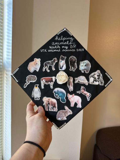 Zoology Graduation Cap, Veterinarian Graduation Cap, Animal Graduation Cap, Animal Science Graduation Cap, Vet Tech Graduation Cap, Science Graduation Cap, College Grad Pictures, Grad Hat, Diy Graduation Cap