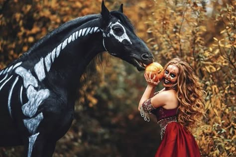 Fall Horse Photoshoot, Horses Outfit, Halloween Photoshoot Ideas, Horse Halloween Costumes, Horse Photo Shoot, Halloween Horse, Horse Shoot, Horse Halloween, Horse Photoshoot