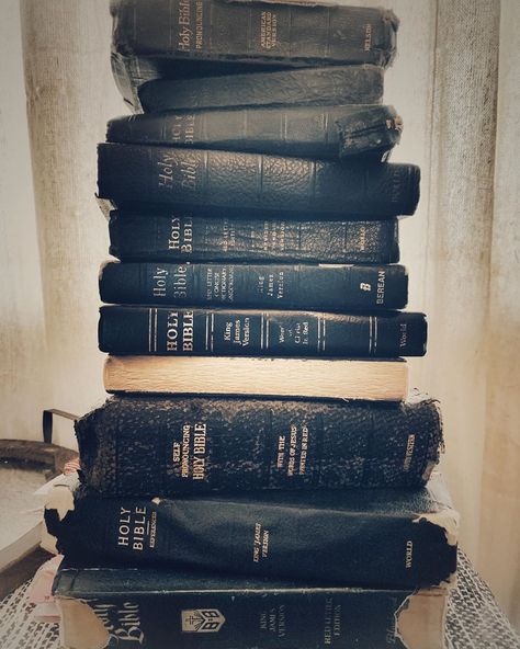 @iswearimdunn_ipromise on Instagram: “The thing I love the most about old bibles is the handwritten names and passages in them. When I find these old bibles, many of them have…” Cemetery Picnic, Old Bible, Oldest Bible, Home Library, Holy Bible, The Thing, Junk Journals, Cemetery, Bible