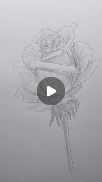 Mark Liam Smith on Instagram: "Draw a rose 🌹 Easy drawing lesson for beginners on how to draw a rose. #drawinglesson" Easy Drawing Rose, How To Draw A Rose Easy, Basic Rose Drawing, Rose Buds Drawing, Rose Pencil Drawing Simple, How To Draw A Rose, Drawings Of Roses, Draw A Rose Easy, Rose Drawing With Stem