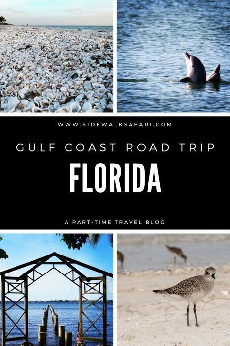 Come along on a Florida road trip. Read about Florida road trip destinations between Naples and Tampa on the Gulf Coast of Florida. Plan a Florida road trip itinerary focused on the west coast between Naples and Tampa. Learn about things to do on a Florida road trip. Take a Florida driving vacation. #florida #floridaroadtrip #roadtrip #floridaroadtripitinerary Gulf Coast Road Trip, West Coast Florida, Florida Road Trip, Florida National Parks, Pacific Coast Road Trip, California Coast Road Trip, Best Beach In Florida, Florida Gulf Coast, Dry Tortugas National Park