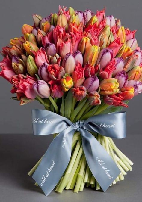 Tulpen Arrangements, Unique Bridal Bouquets, Birthday Flowers Bouquet, Tulips Arrangement, Tulip Wedding, 2 October, Tulip Bouquet, Beautiful Flower Arrangements, Luxury Flowers