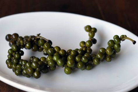 Ingredient Spotlight: Green Peppercorns in Brine | Kitchn Thai Market, Turkey Cutlets, French Sauces, Pepper Plant, Avocado Soup, Green Peppercorn, Peppercorn Sauce, Salt And Vinegar, Pepper Plants