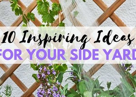 10 Side Yard Ideas Side Yards Ideas Narrow, Side Yard Ideas, Garden Improvement, Garden Decoration Ideas, Side Yard Landscaping, Side Yards, Sustainable Landscaping, Rain Garden, Side Yard