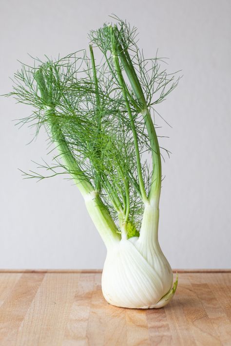 Fennel Bulb, Fennel Recipes, Roasted Fennel, Skillet Cooking, Candied Pecans, Rice Wine Vinegar, Cooked Veggies, Summer Vegetable, Simply Recipes