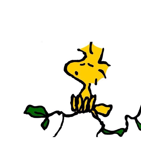 Woodstock singing Woodstock Art, Funny Snoopy, Wallpaper Snoopy, Charles Shultz, Peanuts Wallpaper, Peanut Gallery, Woodstock Snoopy, Woodstock Peanuts, Snoopy Funny