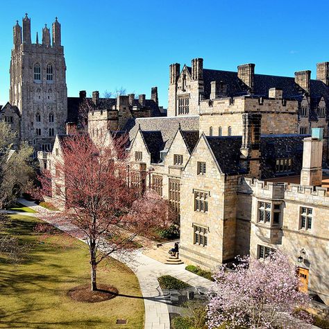 Since its founding in 1701, Yale University has been dedicated to expanding and sharing knowledge, inspiring innovation, and preserving cultural and scientific information for future generations. Yale University Aesthetic Campus, Yale University Campus, Yale Aesthetic University, Yale University Aesthetic, Yale Aesthetic, University Inspiration, College Vision Board, Yale University, Harvard University