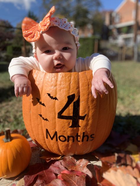 4 Month October Pictures, 4 Months Fall Pictures, 6 Month Old Pumpkin Pictures, Fall Photos 4 Month Old, 5 Month Old Halloween Photoshoot, 4 Month Old Baby Photoshoot Fall, 4 Month Old Fall Pictures, 4 Month Halloween Pictures, Halloween 4 Month Old Pictures